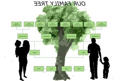 Sådan at tegne et stamtræ diagram. Indsamle de oplysninger, du har brug for.