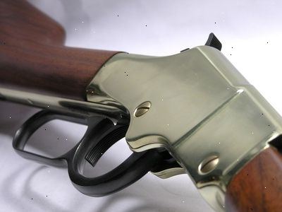 Forestil dig en fremtid uden pistol vold.